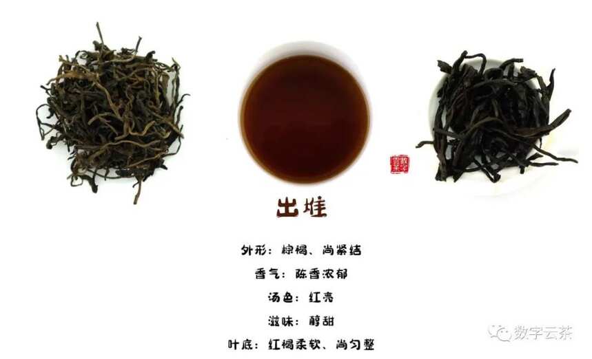 茶百科 丨 普洱熟茶原来是这样产生的！有意思