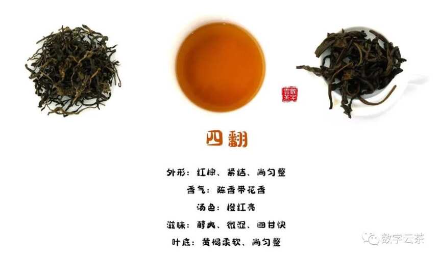 茶百科 丨 普洱熟茶原来是这样产生的！有意思