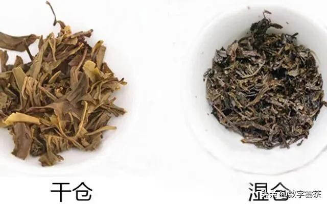 假老茶泛滥，你是不是也中招了？