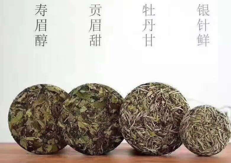 什么是福鼎白茶？