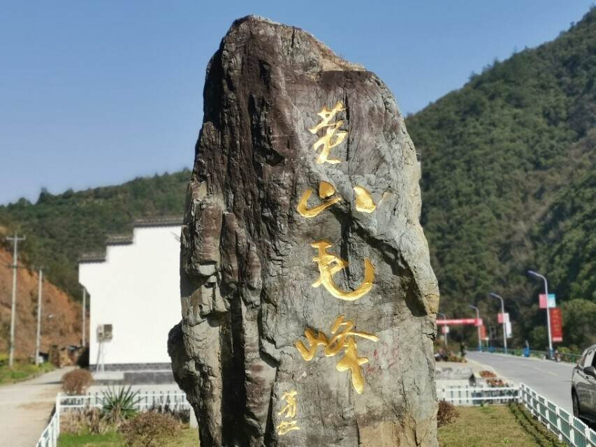 了解地道（黄山毛峰），黄山人小吕来聊聊。