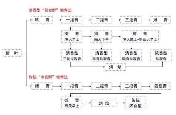 这些最基本的铁观音选购知识一定要懂