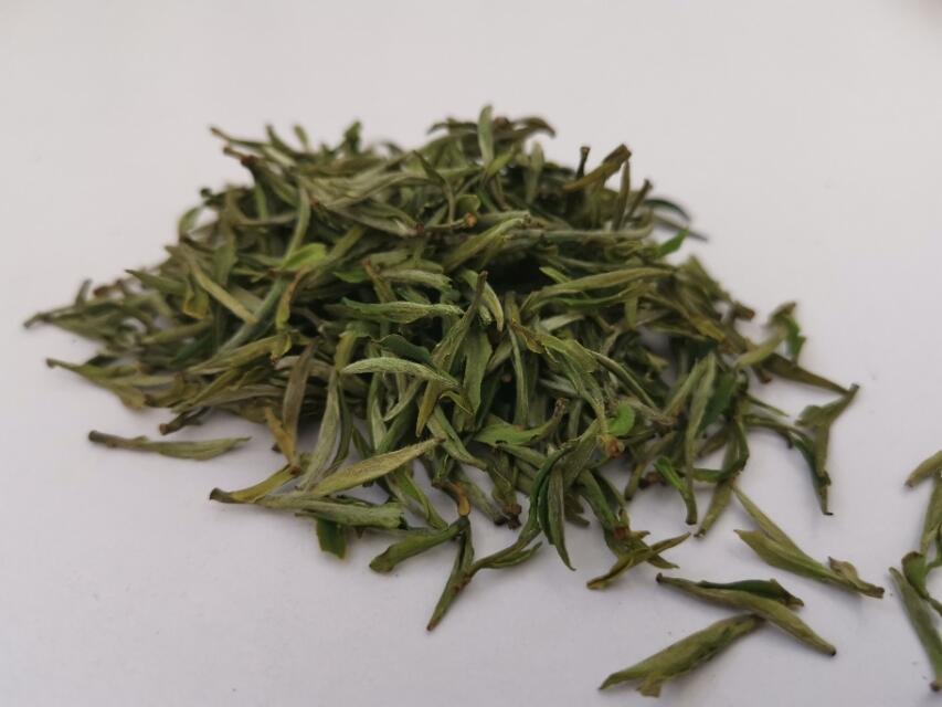 黄山毛峰什么时候有新茶