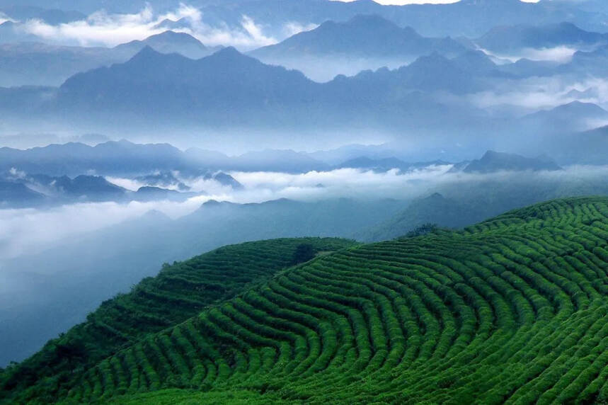 史上茶诗名篇：苏东坡在杭州时的煎茶与诗意