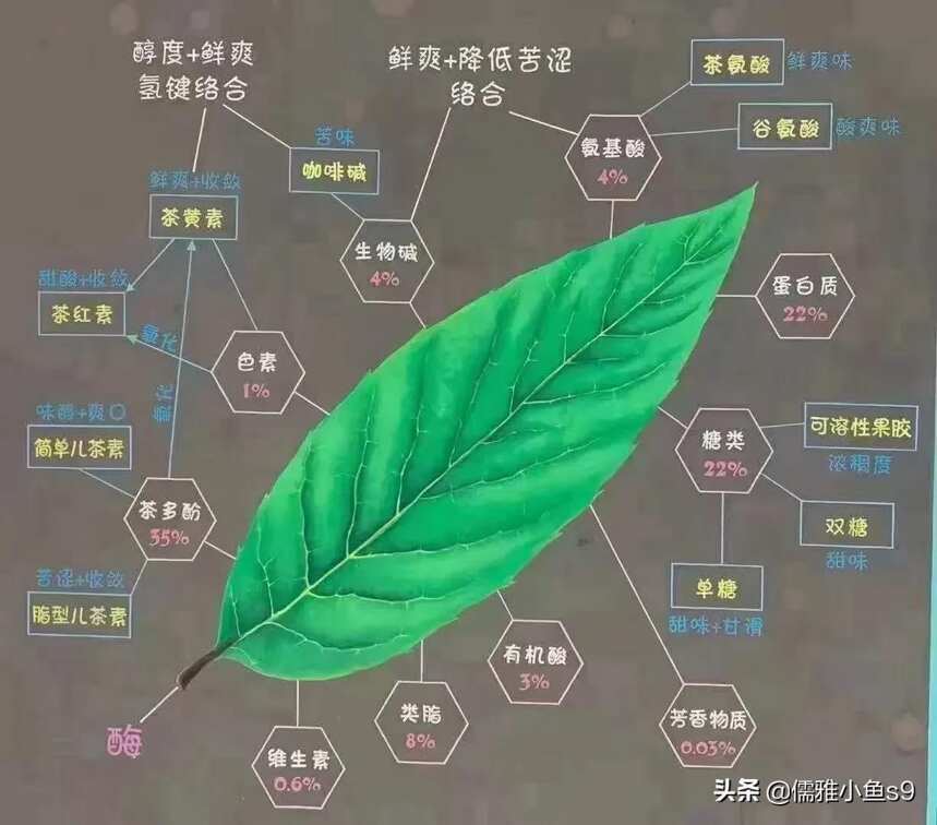 喝茶口腔干涩不舒服，是什么原因造成的？