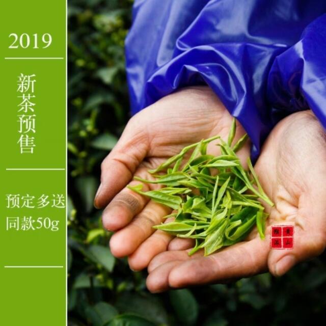 2019新茶黄山毛峰上市了？