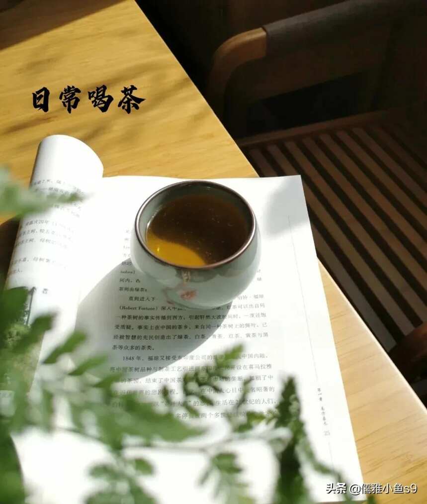 纯料茶 VS 拼配茶，本文为您解答疑惑，喝茶路上不迷路