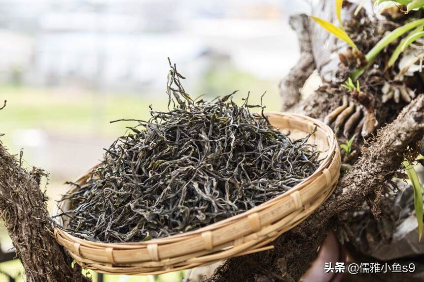 普洱茶七最，你都喝过吗？