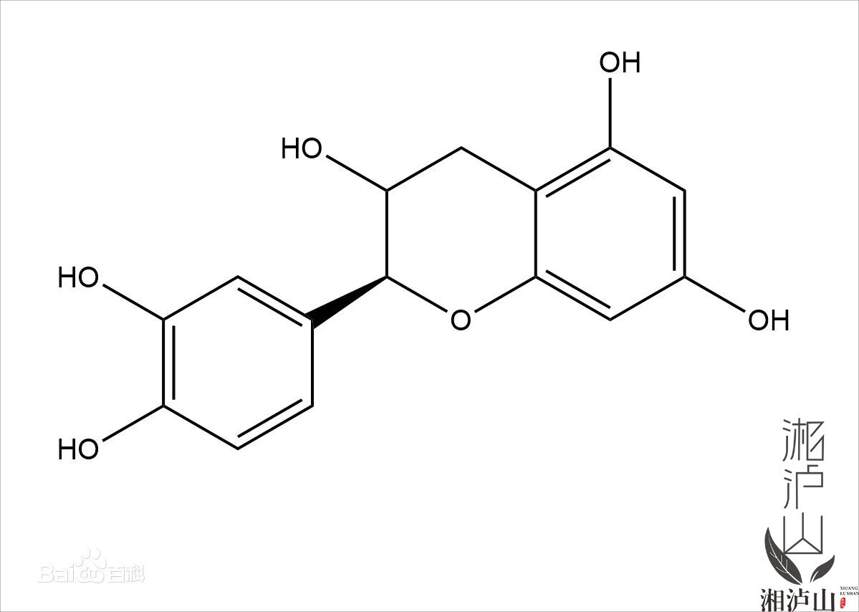 夏日大作战——喝茶真的可以美白吗？