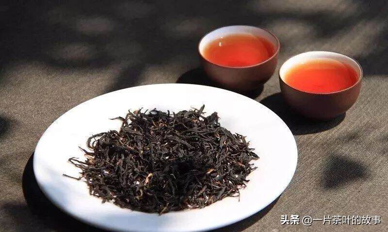 假如茶界也有高考 你能顺利毕业吗？