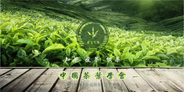 茶科技 | 寒潮来袭，茶园寒潮雪灾恢复技术措施看这里～