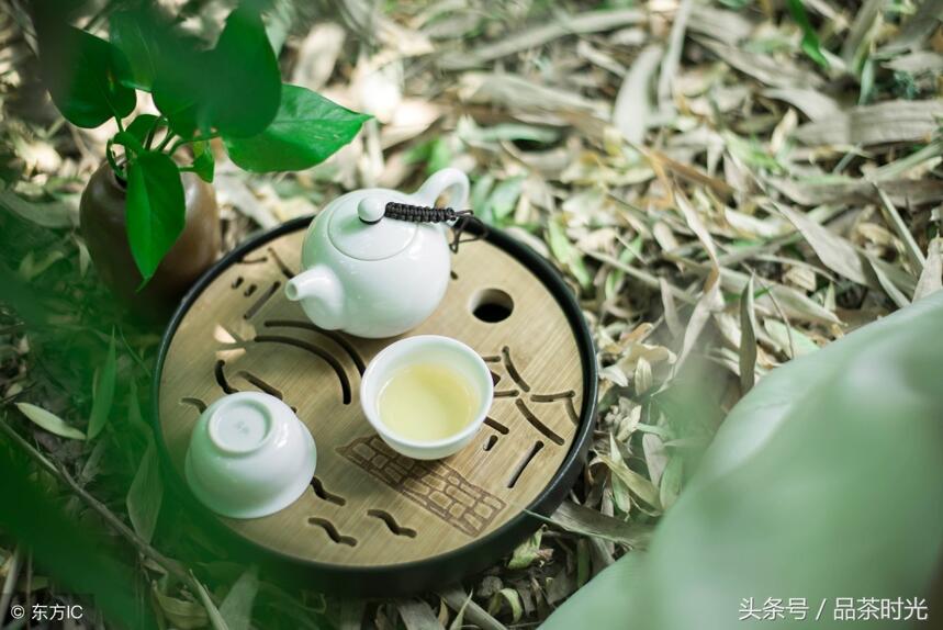 品茶时光｜爱茶，就应该习茶，而后才能知茶