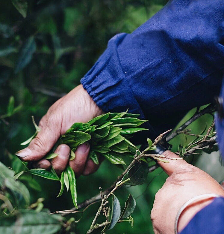 武夷岩茶最不能错过的是什么？