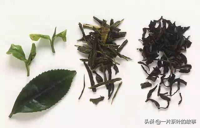 茶梗，到底是垃圾还是宝贝？