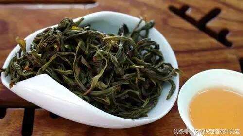 新手入门，你该知道的青茶（乌龙茶) 知识