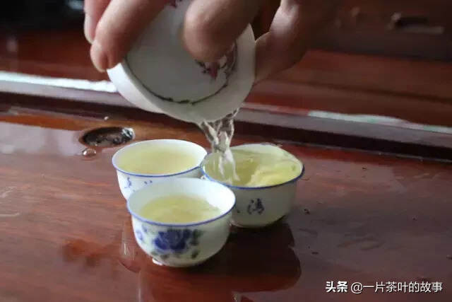 绿衣仙子是怎样的一款茶？