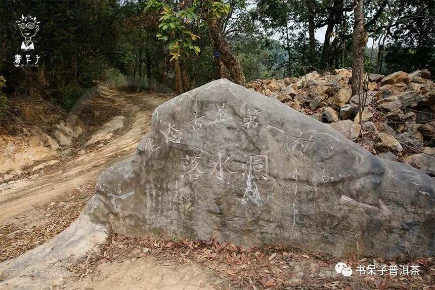 茶山行 | 曼秀、落水洞、麻黑， 3寨连走，总有一个地方给你惊喜