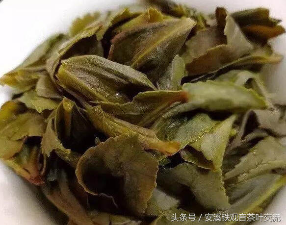 寒露到，桂花开，为何铁观音好茶总在寒露时？