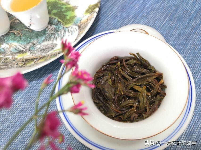 青茶｜凤凰单丛是什么茶呢？