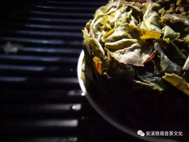 铁观音的沧桑