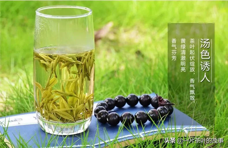 茶中江湖的六大门派