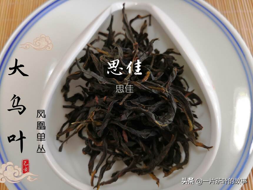 你懂茶，正好，茶也懂你