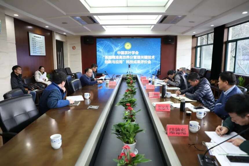 中国茶叶学会召开茶园精准高效养分管理关键技术创新与应用评价会