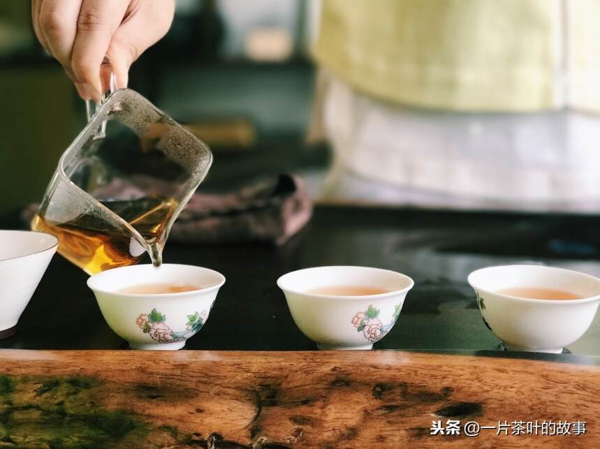 品茶如谈恋爱，日久识茶山、茶品种...