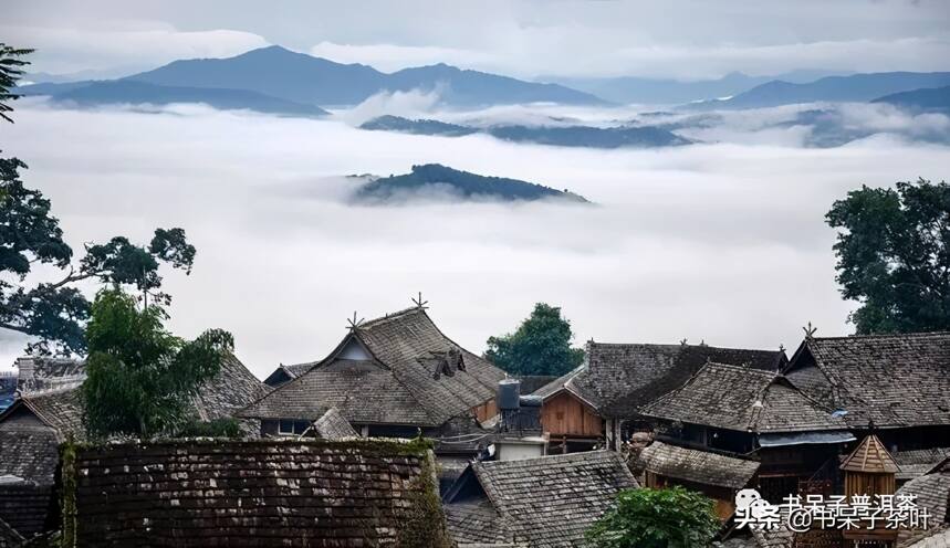 一篇文章带你快速了解云南古六大茶山