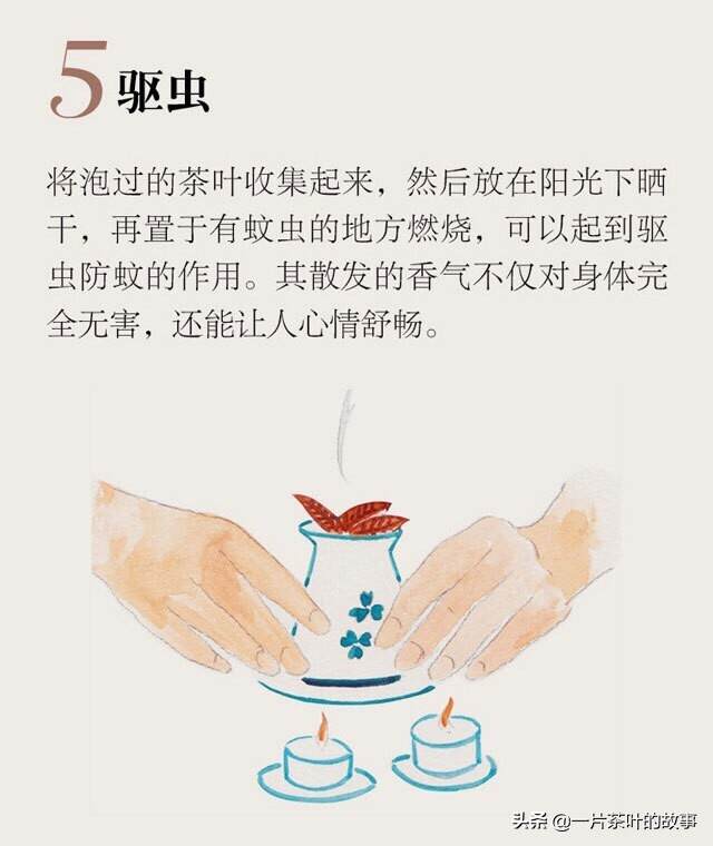 红茶出墙，勾引了全世界