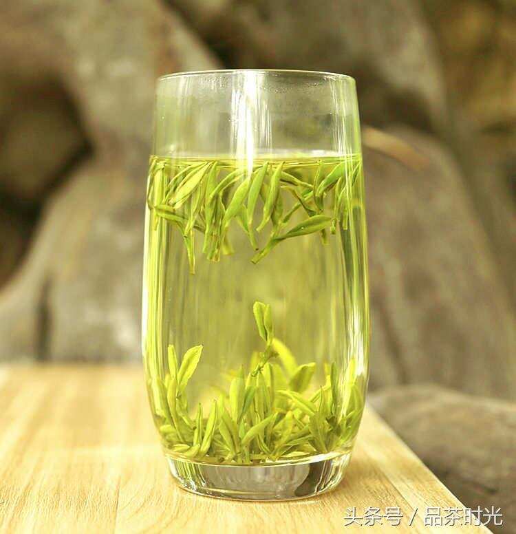 品茶时光｜白茶、白叶茶、白毛茶，你分的清楚吗？