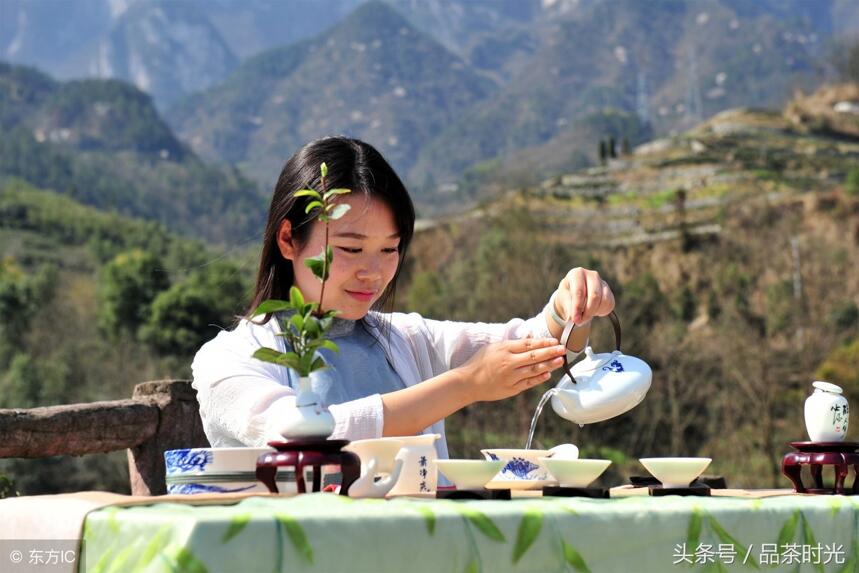 品茶时光｜为什么说春天饮花茶长精神