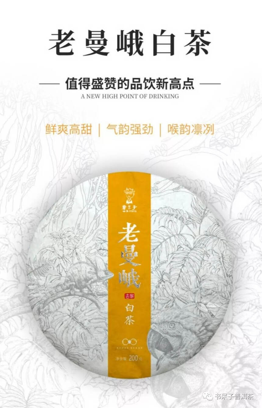 立减100元 | 老曼峨白茶，鲜爽高甜，男女老少都爱喝