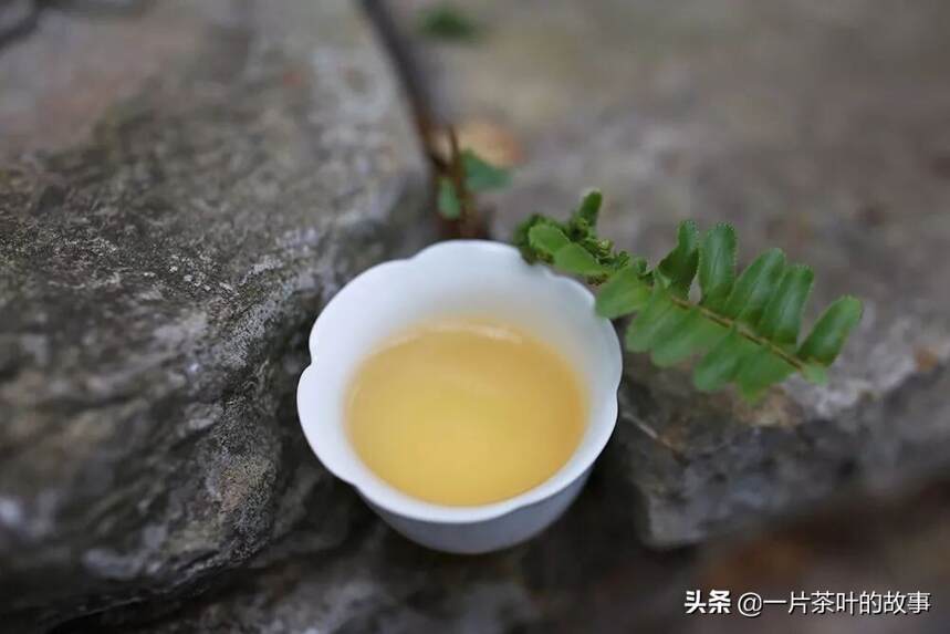 一个人，喝茶，静心