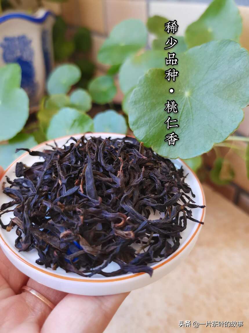 关于凤凰单丛的以下三个说法，老茶客们认同吗？