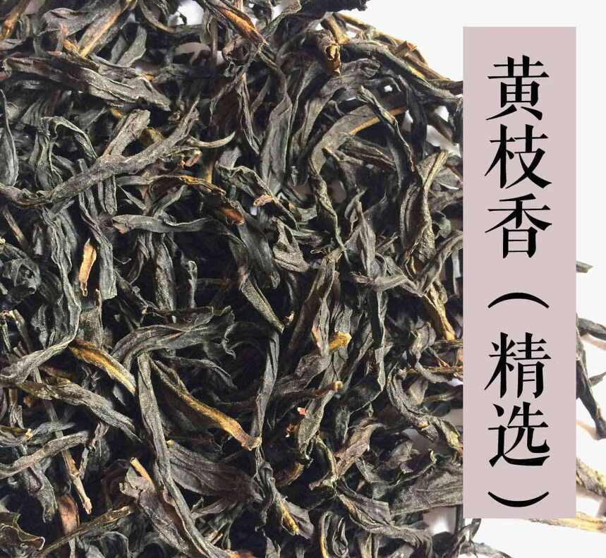 识茶｜凤凰单枞茶的十大香型