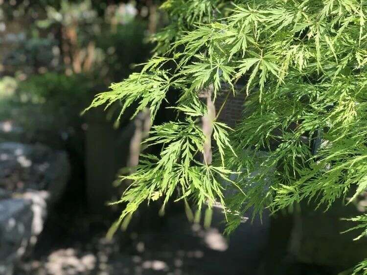 茶言观色 | 在不同的城市，找一间茶室，从黄昏坐到日落