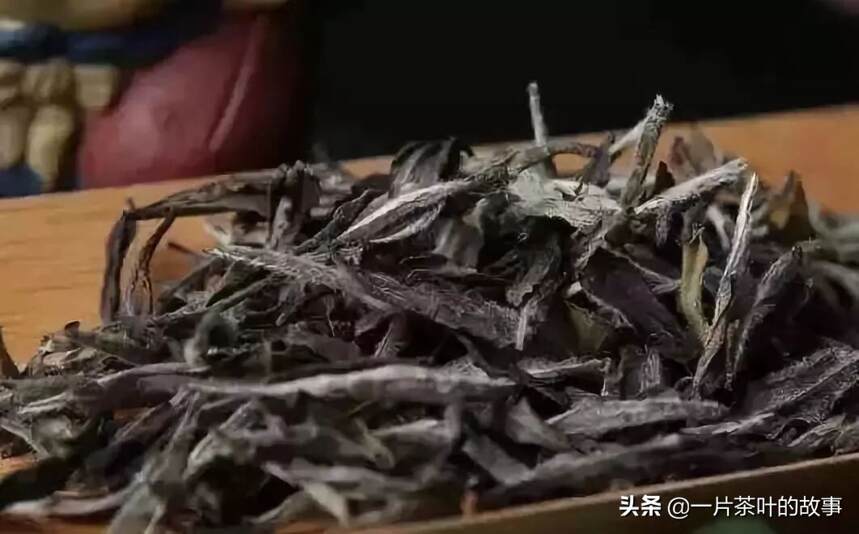 这快问快答，助你秒懂白茶