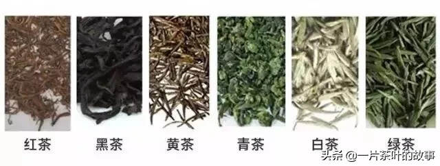 茶和茶，区别到底在哪？