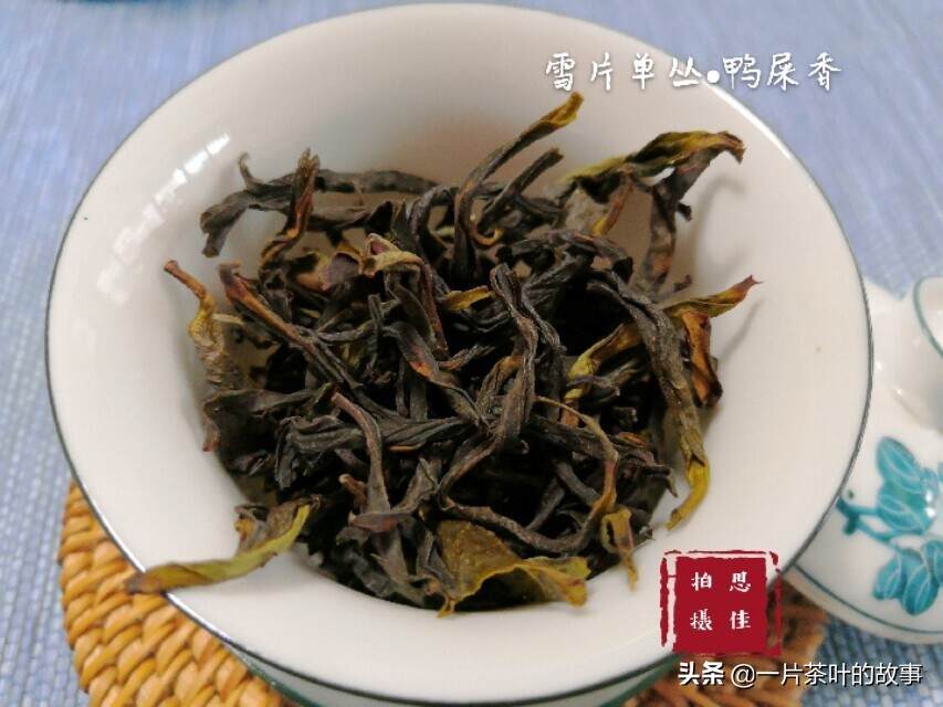 茶知识｜用盖碗泡乌龙茶真的就比紫砂壶好吗？