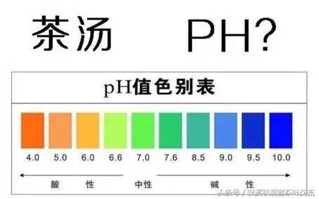 茶叶的酸碱性又会不会影响人体酸碱平衡呢？