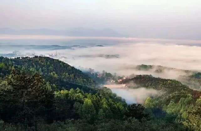 茶山日记05：风雨之中，我们谈人才话题