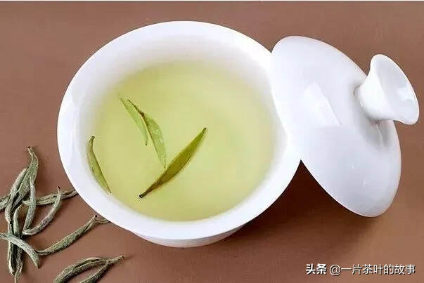 卸下你的累，尽享一盏茶