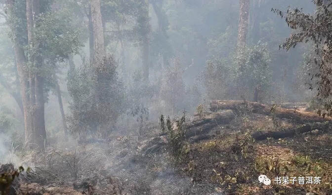 太害怕了！揭秘天门山成茶库存告急的背后