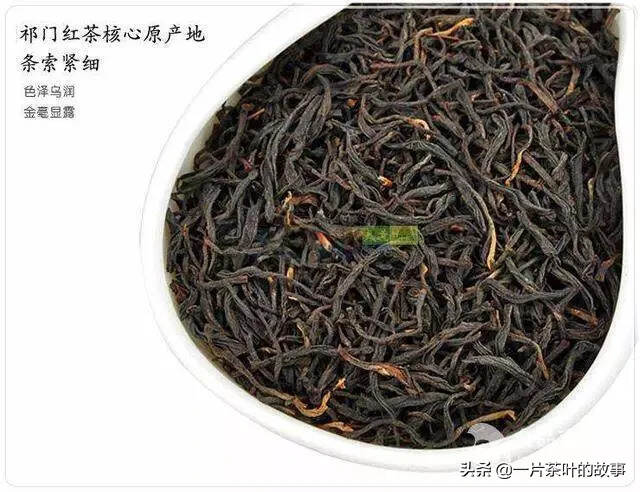 一次性把祁门红茶讲清楚（建议收藏）