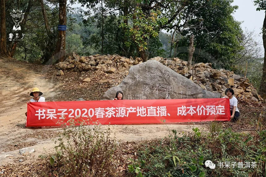 2020茶山行第2期 | 易武， 3寨连走，总有一个地方给你惊喜