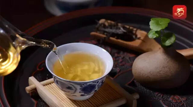 都说春茶好在这12个方面，你还能说出第13个吗？