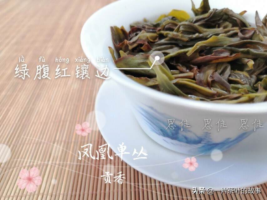 一份乡情，一杯凤凰茶