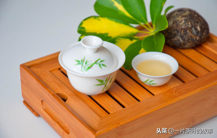 为什么喝不同的茶，要用不同的茶具？