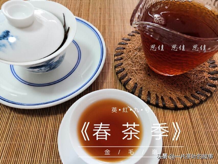 英德红茶和英红九号，很多人把这两者的概念混淆，你也是吗？